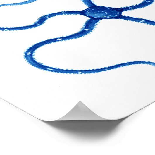 Blue Starfish no. 6 strandwandbekleding Poster (Hoek)