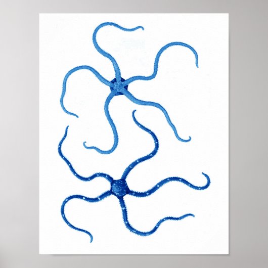 Blue Starfish no. 6 strandwandbekleding Poster (Voorkant)