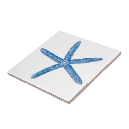 Blue Starfish Tegeltje (Zijkant)