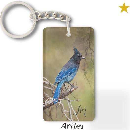 Blue Stellar's Jay Bird Schilderen Custom Initiale Sleutelhanger