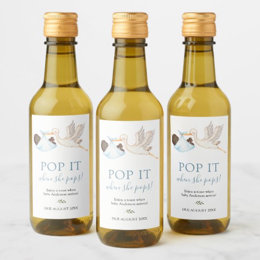 Blue Stork Pop het als ze Poppen Wine Label Wijn Etiket (Flessen)