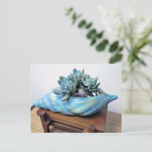 Blue Succulent in Seashell door Succulent Design Briefkaart (Staand voorkant)