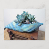 Blue Succulent in Seashell door Succulent Design Briefkaart (Voorkant)