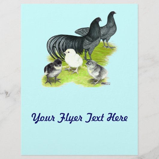 Blue Sumatra Flyer (Voorkant)