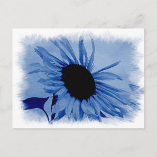 Blue Sunflower Postcard Briefkaart