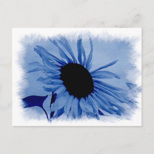 Blue Sunflower Postcard Briefkaart (Voorkant)