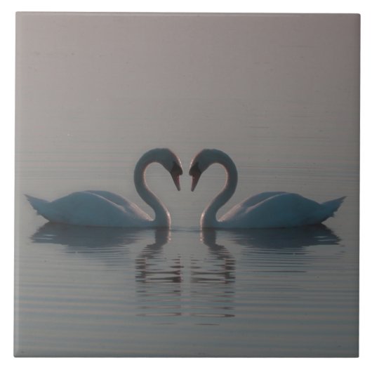 Blue Swans Must Be Love Tegeltje (Voorkant)