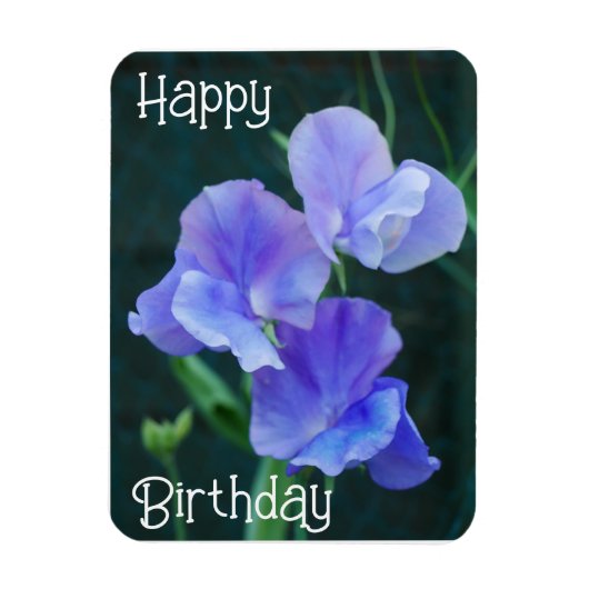 Blue Sweet Pea Flowers Birthday Magnet Magneet (Verticaal)