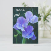 Blue Sweet Pea Flowers Hartelijk dank Bedankkaart (Staand voorkant)