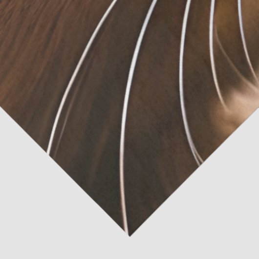 Blue Tabby calico cat, Fantasy Tissuepapier (Detail)