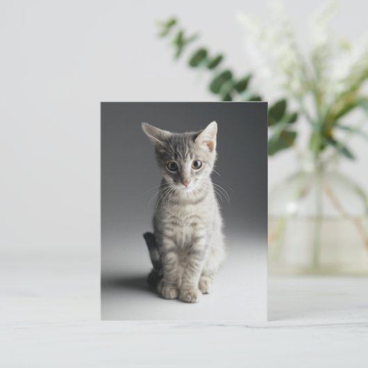 Blue Tabby Kitten Briefkaart (Staand voorkant)
