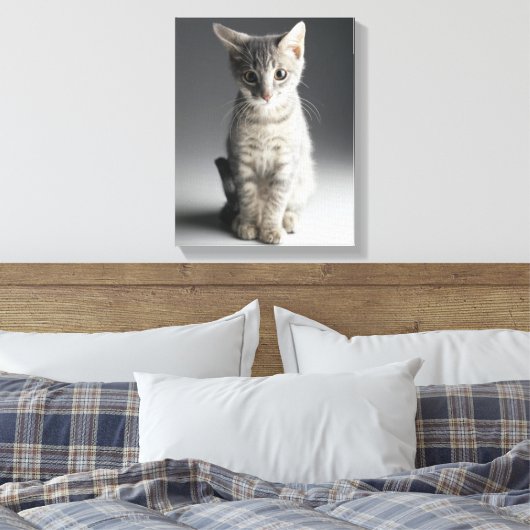 Blue Tabby Kitten Canvas Afdruk (Insitu (Slaapkamer))