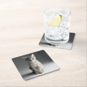 Blue Tabby Kitten Kartonnen Onderzetters (Insitu)