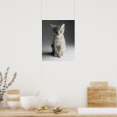 Blue Tabby Kitten Poster (Keuken)