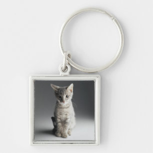 Blue Tabby Kitten Sleutelhanger