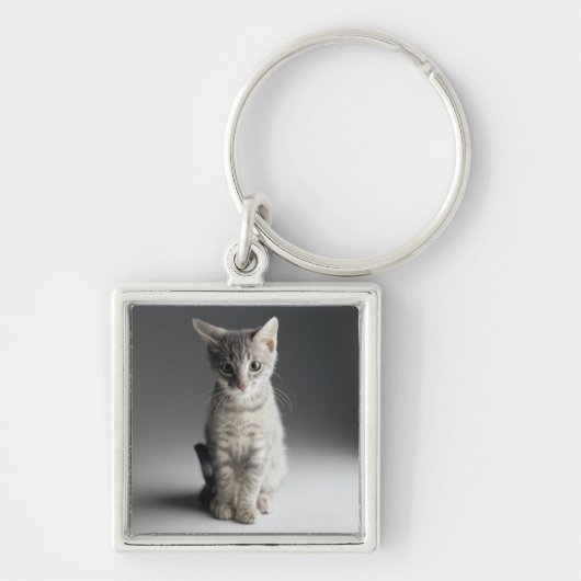 Blue Tabby Kitten Sleutelhanger (Voorkant)