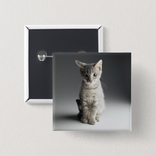 Blue Tabby Kitten Vierkante Button 5,1 Cm (Voorkant /achterkant)