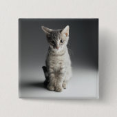 Blue Tabby Kitten Vierkante Button 5,1 Cm (Voorkant)