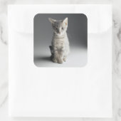 Blue Tabby Kitten Vierkante Sticker (Tas)