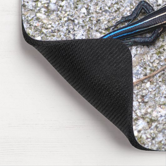 Blue Tailed Skink mousepad Muismat (Hoek)