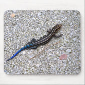 Blue Tailed Skink mousepad Muismat (Voorkant)