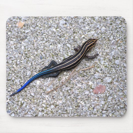 Blue Tailed Skink mousepad Muismat (Voorkant)