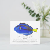 Blue Tang Fish Briefkaart (Staand voorkant)