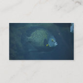 Blue Tang Fish Visitekaartje (Achterkant)