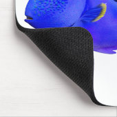 Blue Tang Saltwater Fish Muismat (Hoek)