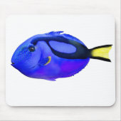 Blue Tang Saltwater Fish Muismat (Voorkant)
