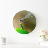 Blue Texas Damselfly op een lef Grote Klok (Huis)