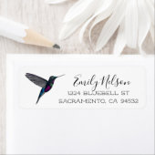 Blue-throated Stafrontlet Hummingbird  Etiket (Insitu)