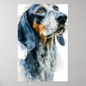 Blue tick coon hound portrait poster (Voorkant)
