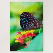 Blue Tiger Tirumala Hamata Butterfly. Legpuzzel (Verticaal)