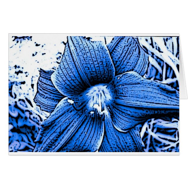Blue Tigerlilly (Voorkant Horizontaal)