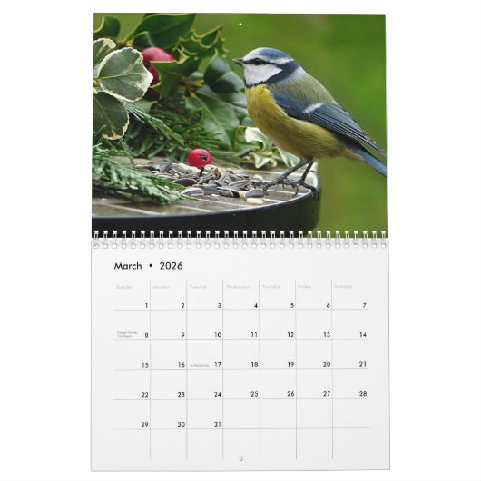 Blue-Tit Bird 2025 kalender (Mar 2026)