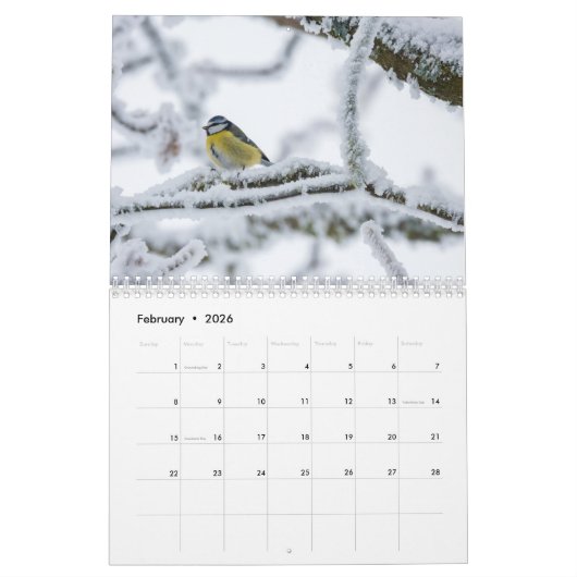 Blue-Tit Bird 2025 kalender (Feb 2026)