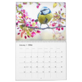 Blue-Tit Bird 2025 kalender (Jan 2026)