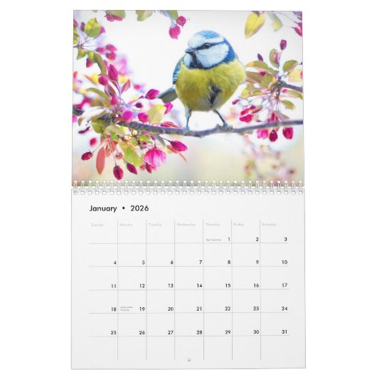 Blue-Tit Bird 2025 kalender (Jan 2026)