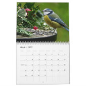 Blue-Tit Bird 2025 kalender (Mar 2027)