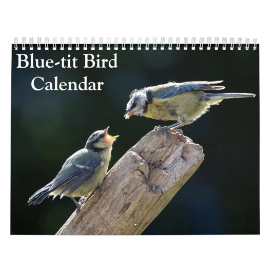 Blue-Tit Bird 2026 kalender (Hoes)