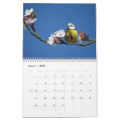 Blue-Tit Bird 2026 kalender (Mar 2027)
