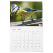Blue-Tit Bird 2026 kalender (Jan 2027)