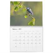 Blue-Tit Bird 2026 kalender (Feb 2027)