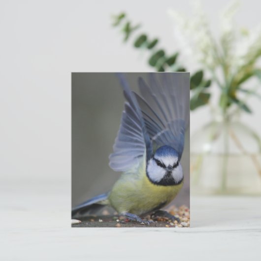 Blue tit bird beautiful wings briefkaart (Staand voorkant)