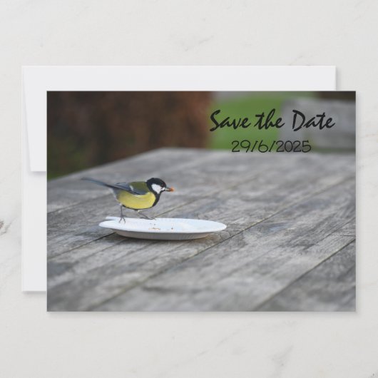 Blue Tit Bird Feed Opslaan van de datum uitnodigin Save The Date (Voorkant)