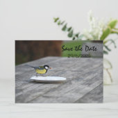Blue Tit Bird Feed Opslaan van de datum uitnodigin Save The Date (Staand voorkant)