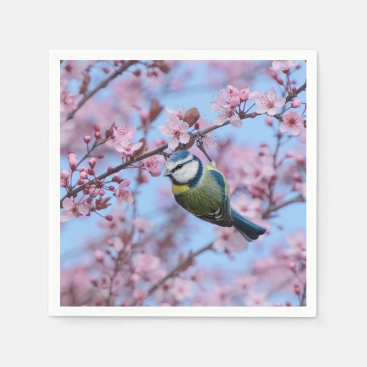 Blue Tit Bird in Pink Japanse Cherry Blossom Servet (Voorkant)