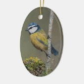 Blue Tit Bird Schilderij Custom Year Christmas Keramisch Ornament (Links)