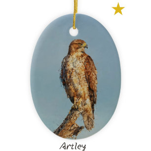 Blue Tit Bird Schilderij Custom Year Christmas Keramisch Ornament